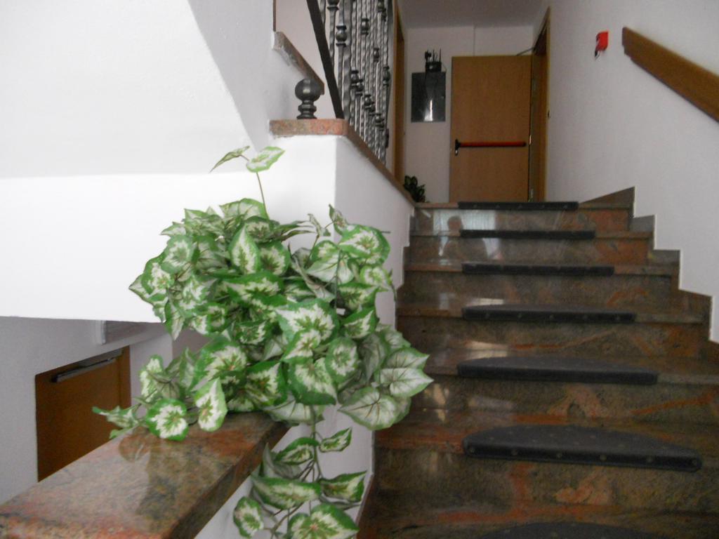 Residence Garni Manuela Cavalese Exteriér fotografie
